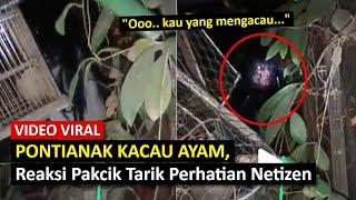 VlRAL Pontianak Kacau Ayam, Reaksi Pakcik Tarik Perhatian Netizen