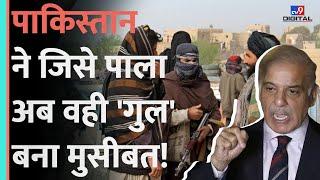 Talibani Hafiz Gul Bahadur अचानक Pakistani Army के लिए क्यों बना काल? | #tv9hindi