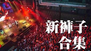 乐队的夏天 新裤子歌曲合集