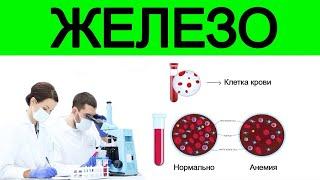 Продукты которые нужно употреблять для восполнения дефицита железа при анемии