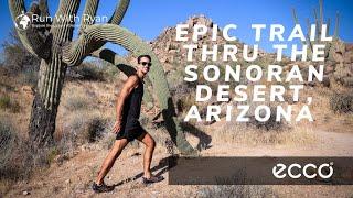 Adventure thru the Sonoran Desert of Arizona: A Run With Ryan Hike