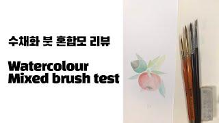 수채 보태니컬아트 혼합모 붓 리뷰 watercolor botanical art mixed brush review