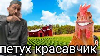 "Петухами надо быть" Гимбатов Мухаммадрасул