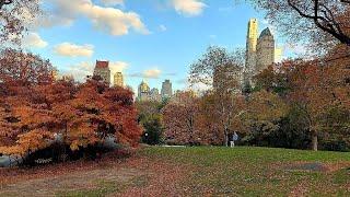 Шикарная золотая осень в Central Park. Центральный парк Нью-Йорк США