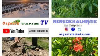 Organik Tarım TV'de Nerede Kalmıştık