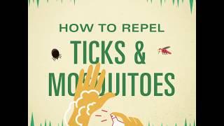 How to Repel Ticks and Mosquitoes