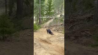 Laying it down on the Swedish trails  #peakperformance