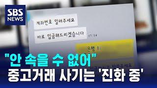 "안 속을 수 없어"…중고거래 사기는 '진화 중' / SBS