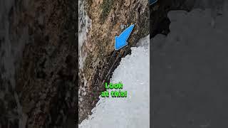 Incredible find behind an icy waterfall #shorts