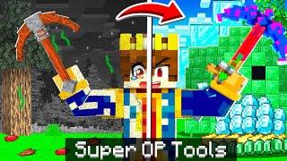 Minecraft But YOU CAN TRANSFORM SUPER OP TOOLS !!