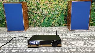 Усилитель d-класса BRZHiFi X21 колонки 10 МАС-1М ч.4 аудио тест