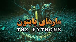 مارهای پایتون، طویل‌ترین خزندگان زمین - فیلم مستند کوتاه  | Pythons, The longest reptiles on earth