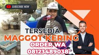 MAGGOT KERING DI SHOPEE MAKRIFAT BUSINESS || ORDER WA 08123489038