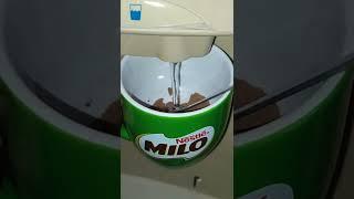 Milo Chocolate Drink