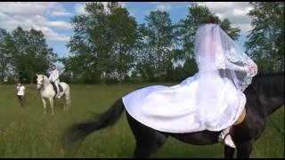 Свадебная прогулка лошадки
