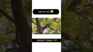 PANDEY FAMILY FP  | PANDEY PRANKS | SHIVAM PRANKS |GINNI PRANKS #viral #trending #memes #pandeyvlogs