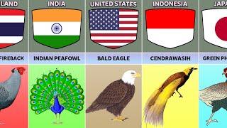 National Birds From Different Countries