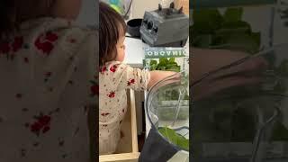 스무디 만들어주는 딸램🩷 #momlife #dadlife #국제커플 #국제부부 #육아 #미국생활
