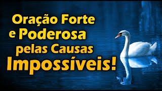 ORAÇÃO FORTE E PODEROSA PELAS CAUSAS IMPOSSÍVEIS