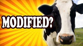 Top 10 Common Foods You Didn’t Know Were Genetically Modified — TopTenzNet