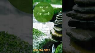 Farmlands at Low Price | Farmlands for Sale at Shadnagar | VBVRProjects #shorts #ytshorts