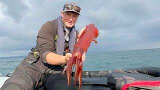 Catching Huge Squid Inflatable Boat Fishing UK