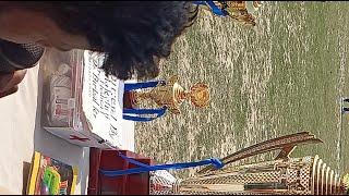 Chandan tiger anj is live tilkeshwar tournament