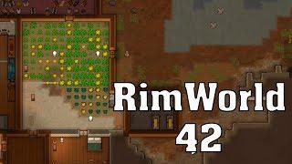 Болезнь растений #42 RimWorld 1.0