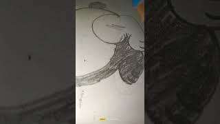 cute panda #shorts #youtubeshorts #ytshort #edit #art #viral #like #foryou #panda #pandagaming #army