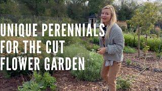 Unique perennials for your cutting garden!