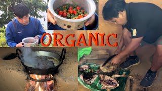 Village Famouse Seto Pothi Chicken Soup Curry Eating with Rice | Village Cooking  Healthy