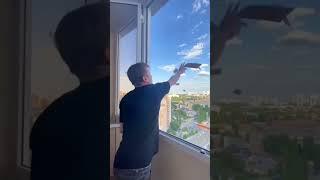 Донской Алексей. Деньги на ветер #пранк