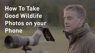 How to Take (Good) Photos of Wildlife on a Phone | Outside