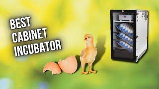 Best Cabinet Incubator — 5 Best Egg Incubator 2022