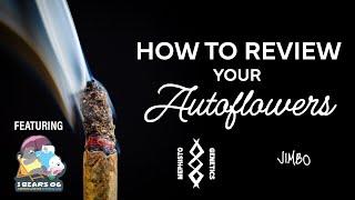 How to Review your Autoflowers