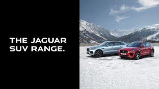 The Jaguar SUV Range | Swansway Jaguar Crewe