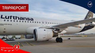 TRIPREPORT 4K | Lufthansa Business Class | A320 D-AIQT | Berlin - Frankfurt/Main | 23.09.2024