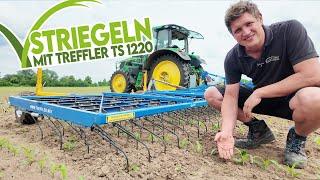  Striegel richtig einstellen: einfache Maschine, viele Möglichkeiten! Treffler TS 1220 M3