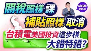 中視【股林高手】20250306#林鈺凱：關稅照樣課 補貼照樣取消 台積電美國投資這步棋 大錯特錯？#中視新聞 #股林高手