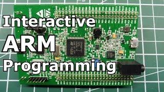 Interactive ARM programming /  Random Number Generator