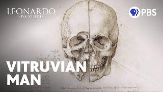 The Vitruvian Man and Anatomical Studies | Leonardo da Vinci | PBS