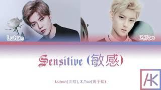 Luhan(鹿晗), Z.Tao(黄子韬) -  Sensitive (敏感) (Color-Coded Lyrics Kan/Pin/Eng)