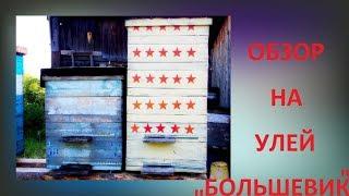 Улей "БОЛШЕВИК", Обзор!!! Все Секреты Пчеловодства!!!