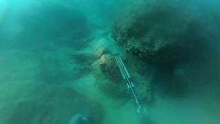 spearfishing israel go pro דייג בצלילה חופשית 2019