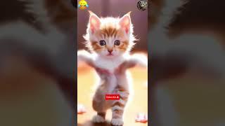 Try not to laugh challenge, cute cat funny broom broom dance  #aicat #dancingcat #shorts