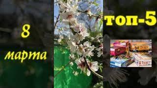 Минутка 8 марта. Топ-5 любимых настольных игр любимой. Настолки для девушек.