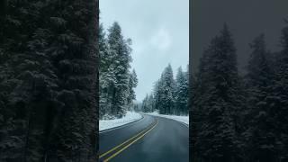 Как же не хотелось оттуда уезжать️️ #snow #winterwonderland