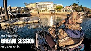 Bream fishing Captain Cook Bridge and Kogarah Bay