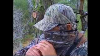 Ultimate Whitetail Season 10 - Year of the Big Bucks: Tape 2