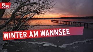 Winter am Wannsee | Die rbb Reporter